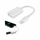 Cabo Adaptador Lightning  OTG 0.3  (Original®)
