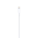 Cabo USB/Lightning 2 Metros  (Original®)