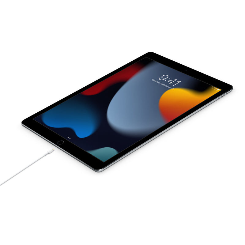 Cabo USB-C/USB-C 2 Metros  (Original®)