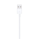 Cabo USB/Lightning 2 Metros  (Original®)