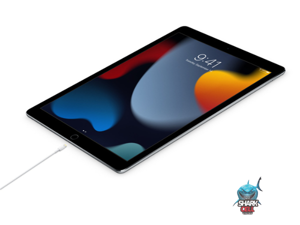 Cabo USB-C/Lightning 1 Metro  (Premium®)